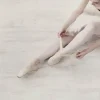 Dansebutikken Andet Til Ballet-Balletplakat med balletdanser med tåspidssko