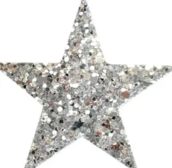 Dansebutikken Gymnastik Hårtilbehør|Hår Accessories-Hårclips stjerneformet i sølvglimmer